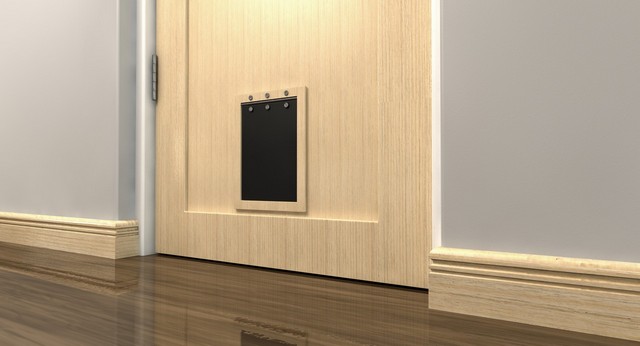 Cat Flap Installation Battersea, SW11