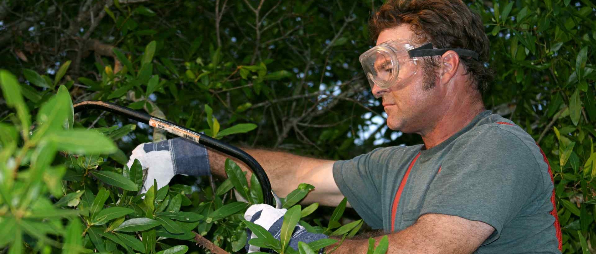 garden clearance SW11